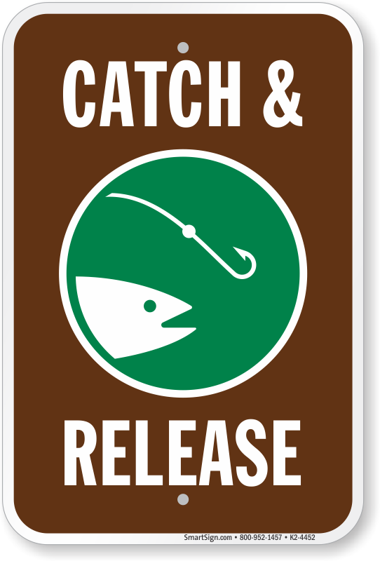 Catch and Release Signs  Practice Catch and Release Fishing Sign
