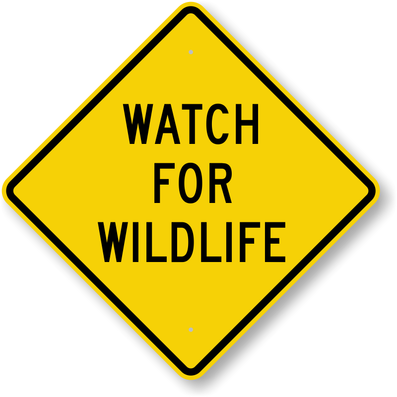 https://www.campgroundsigns.com/img/lg/K/watch-for-wildlife-crossing-sign-k-0324.png